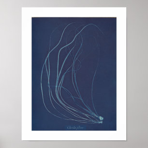 Anna Atkins: Botaniskt Vintage Photo Poster