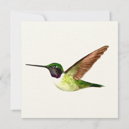 Anna Hummingbird i flygplanet Tack Kort