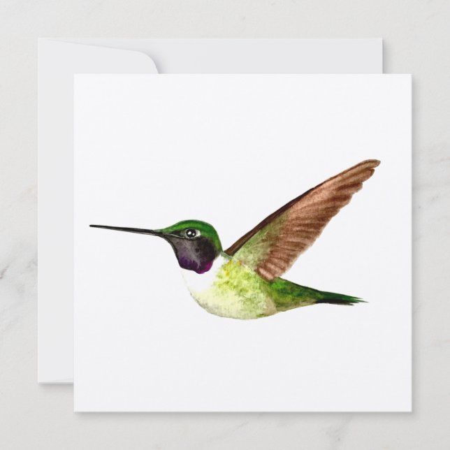 Anna Hummingbird i flygplanet Tack Kort (Framsida)