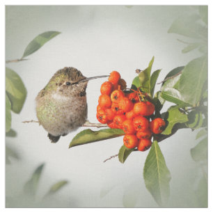 Anna Hummingbird på Berry Bush Tyg