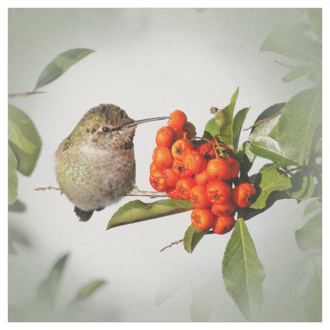 Anna Hummingbird på Berry Bush Tyg (Provkarta)