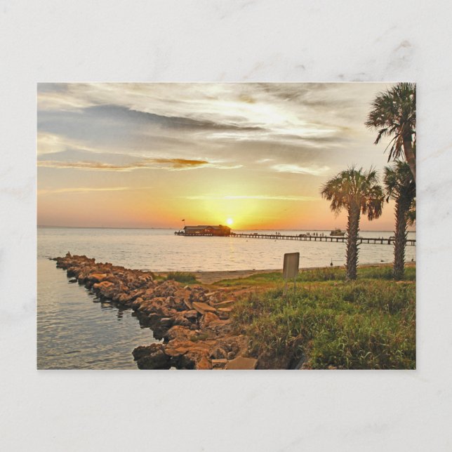 Anna Maria City Pier vid Sunrise Vykort (Framsida)