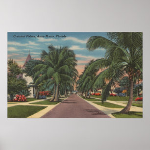 Anna Maria, Florida - View of Handflatan Along Str Poster