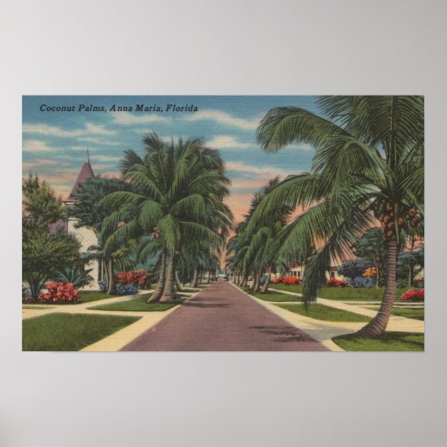 Anna Maria, Florida - View of Handflatan Along Str Poster (Framsidan)