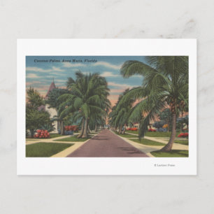 Anna Maria, Florida - View of Handflatan Along Str Vykort