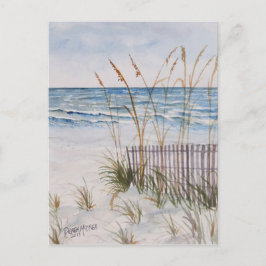 Anna Maria Island Beach Vykort