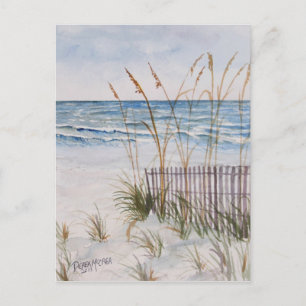 Anna Maria Island Beach Vykort