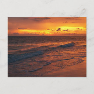 Anna Maria Island, FL Vykort