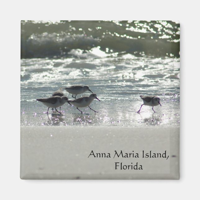 Anna Maria Island, Florida Magnet (Framsidan)