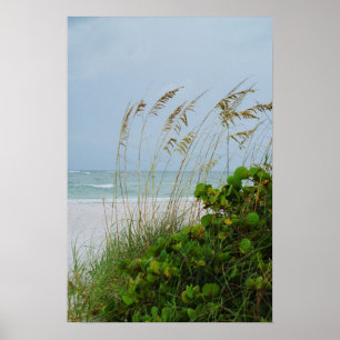Anna Maria Island, Florida, strandscen Poster