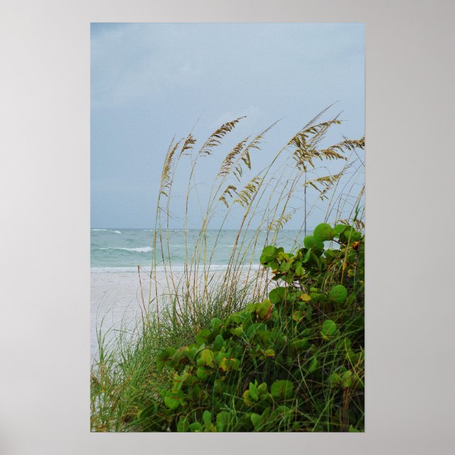 Anna Maria Island, Florida, strandscen Poster (Framsidan)