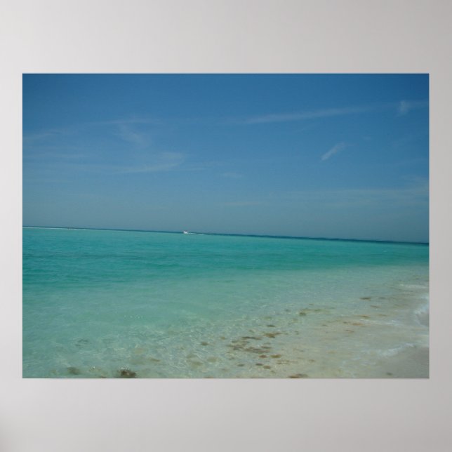Anna Maria Island Poster (Framsidan)