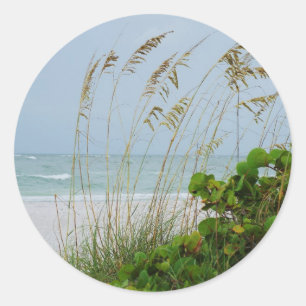 Anna Maria Island Runt Klistermärke