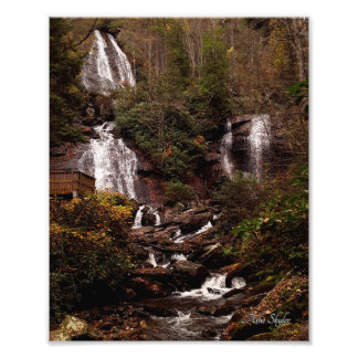 Anna Ruby Falls Fototryck
