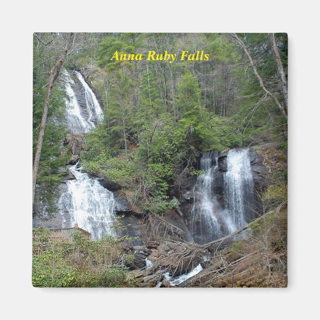 Anna Ruby Falls Magnet (Framsidan)