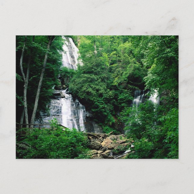 Anna Ruby Falls Vykort (Framsida)