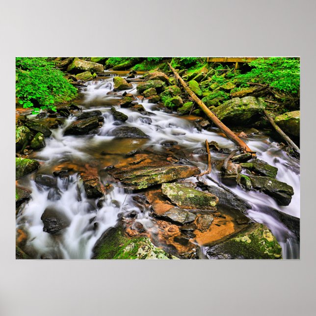 Anna Ruby Tumbles, Poster (Framsidan)