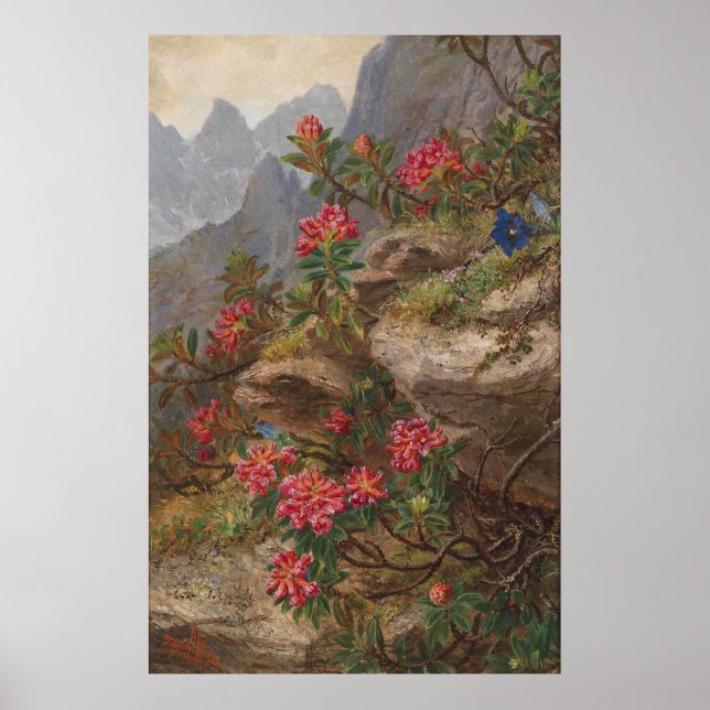 Anna Stainer-Knittel Vintage Alpine Flowers Poster (Framsidan)