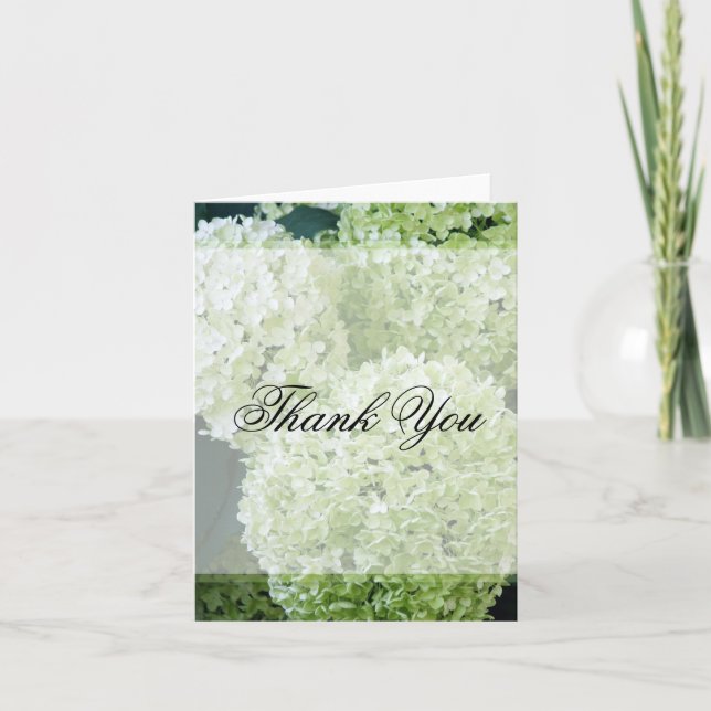 Annabelle Hydrangeas Tack Kort (Framsida)