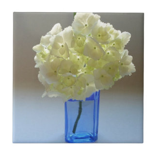 annabellevanlig hortensia kakelplatta
