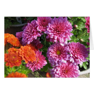 Annalkande morsor OBS kort