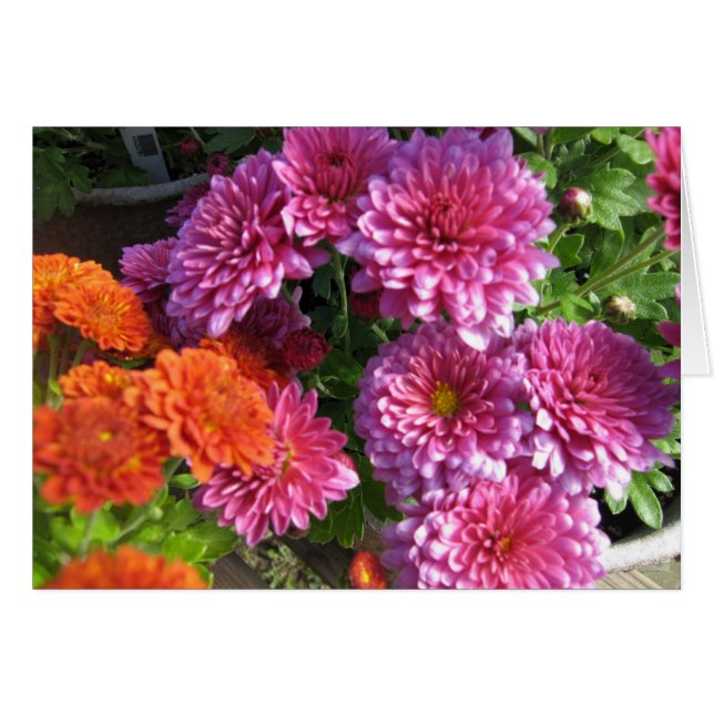 Annalkande morsor OBS kort (Framsidan Horizontal)