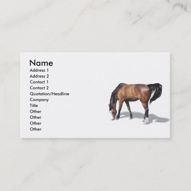 Annan017 , Namn, Adress 1, Adress 2, kontakt ... Visitkort (Framsida)