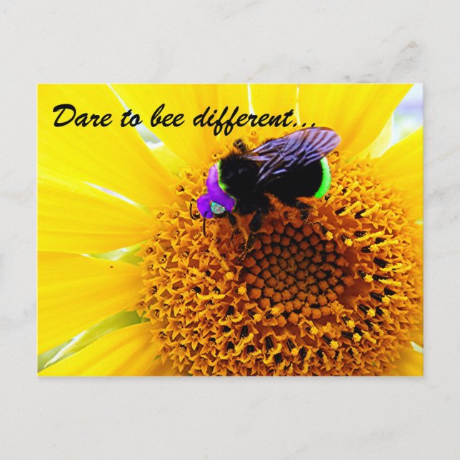 Annan Vykort (Framsida)