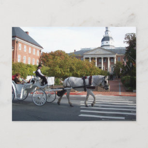 Annapolis Horse and Carriage Ride Vykort