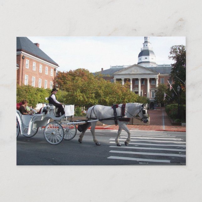 Annapolis Horse and Carriage Ride Vykort (Framsida)