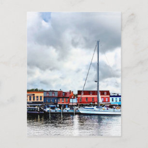 Annapolis Md - City Dock Vykort