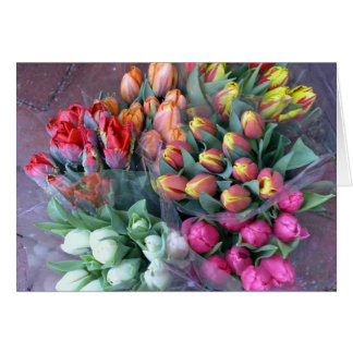 Annapolis tulpan hälsningskort