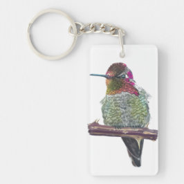 Anna's Hummingbird