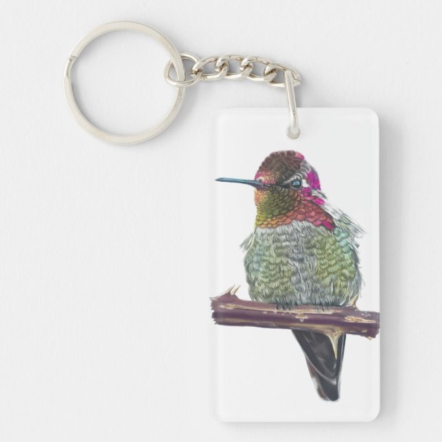 Anna's Hummingbird (Framsidan)