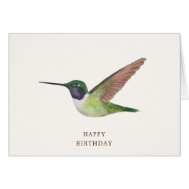 Anna's Hummingbird Birthday Card Hälsningskort