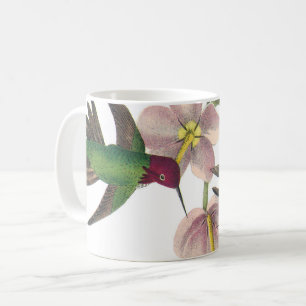 Anna's Hummingbird by Audubon Kaffemugg