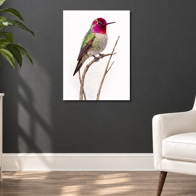 Anna's Hummingbird Färgrik Poster (Skapare uppladdad)