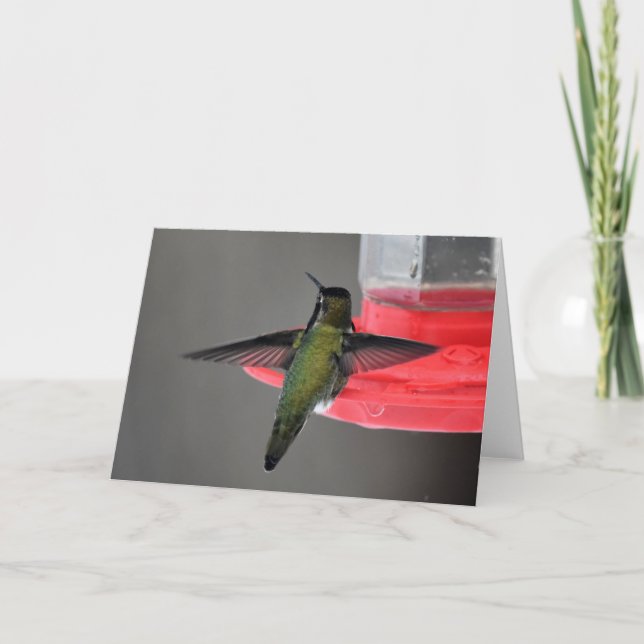 Anna's Hummingbird Frameable Art Card Kort (Framsida)