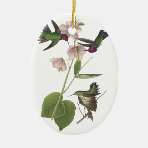 Annas Hummingbird, James Audubon Julgransprydnad Keramik