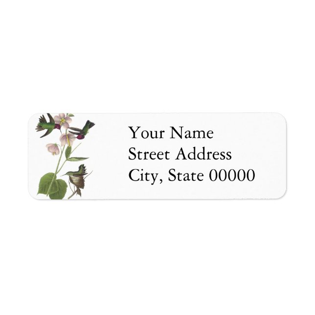 Anna's Hummingbird, James Audubon Returadress Etikett (Framsidan)