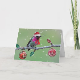 Anna's Hummingbird-jul Helgkort