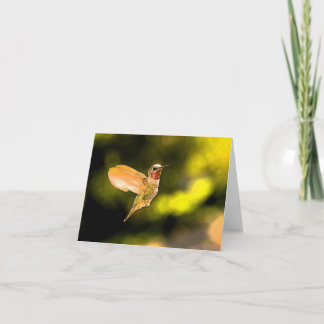 Annas Hummingbird Kort