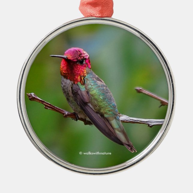 Anna's Hummingbird: Kung bär en Rosa Krona Julgransprydnad Metall (Framsidan)