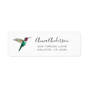 Anna's Hummingbird Label Returadress Etikett
