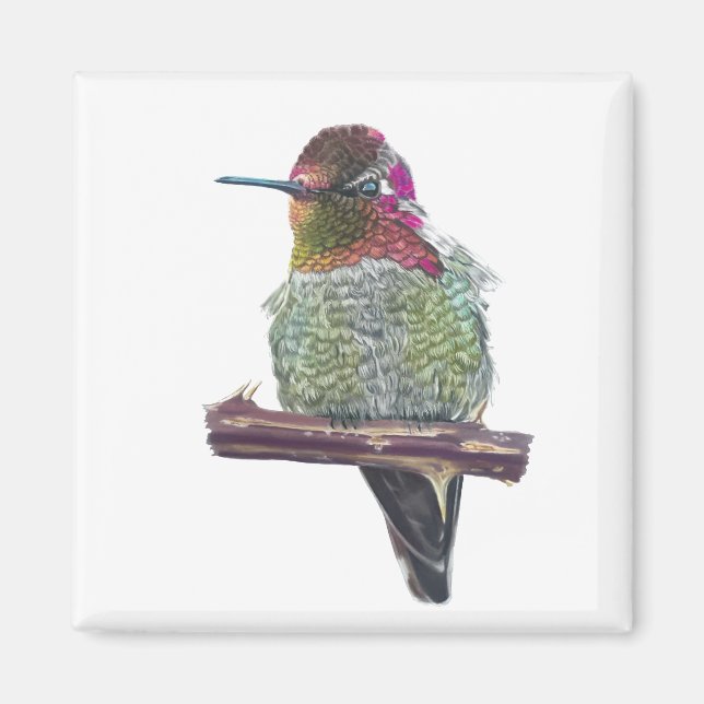 Anna's Hummingbird Magnet (Framsidan)