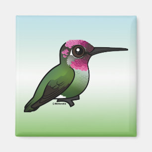 Annas Hummingbird Magnet