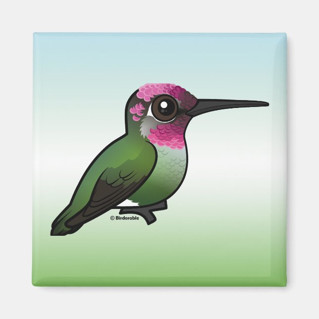 Anna's Hummingbird Magnet (Framsidan)
