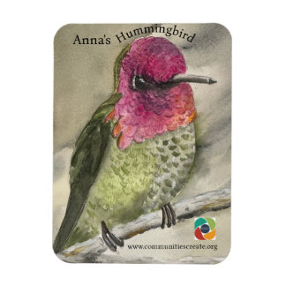 Anna's Hummingbird magnet