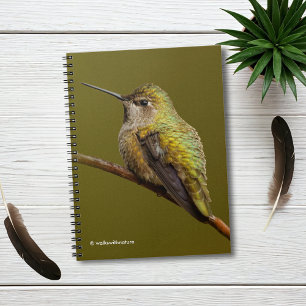 Anna's Hummingbird på Scarlet Trumpetvine Anteckningsbok