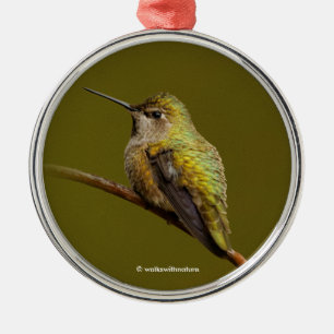 Anna's Hummingbird på Scarlet Trumpetvine Julgransprydnad Metall